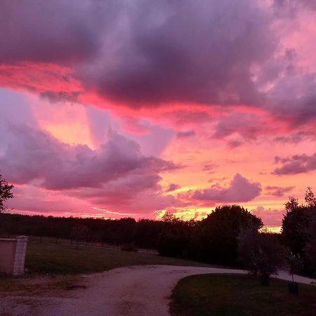 Gite Le Domaine De Camberoux Saint-Marcel-du-Perigord ภายนอก รูปภาพ